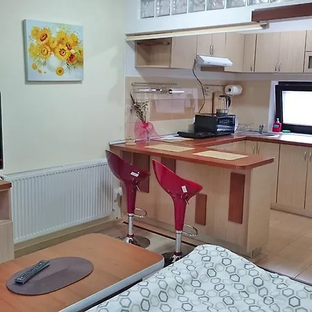 Apartment M42 Studio